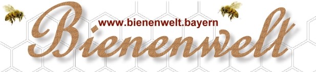 Bienenwelt